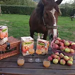 Guest house Au Fer A Cheval Gandelain