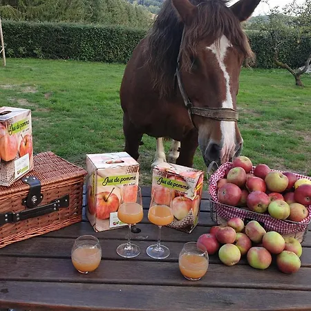 Vendégház Au Fer A Cheval Gandelain