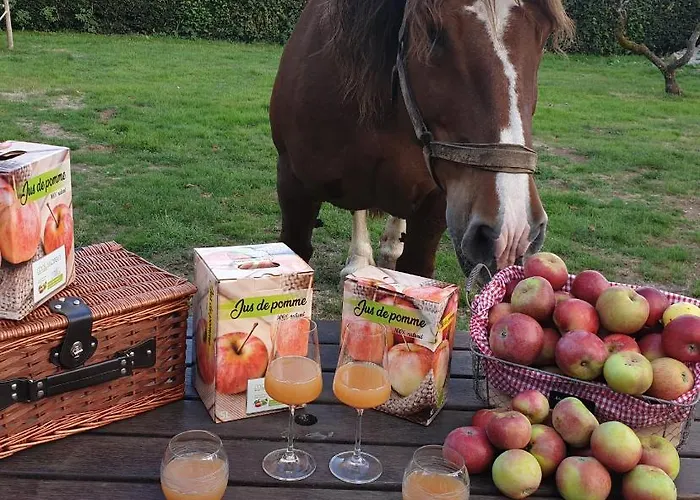 Maison d'hôtes Au Fer à Cheval Gandelain
