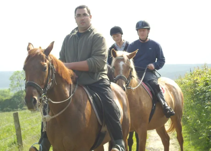 Au Fer à Cheval 3* Gandelain